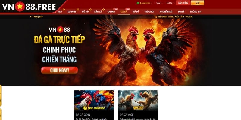 Vài nét sơ lược về Đá Gà VN88
